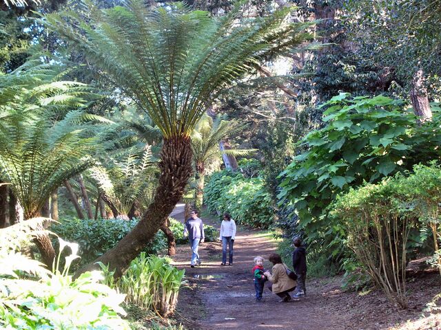 File:Golden-gate-park13.jpg