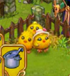 Hatched chicks