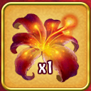Fairy flower