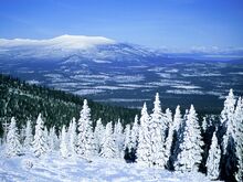 Snowy Mountains