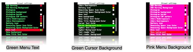 File:VisualSettings Menu-comb 2.jpg