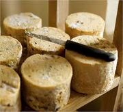 Cabralescheese1