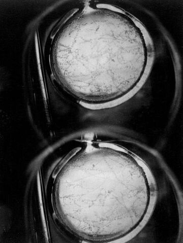 File:Liquid hydrogen bubblechamber.jpg