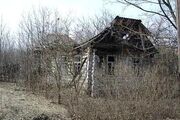 Wormwood 102