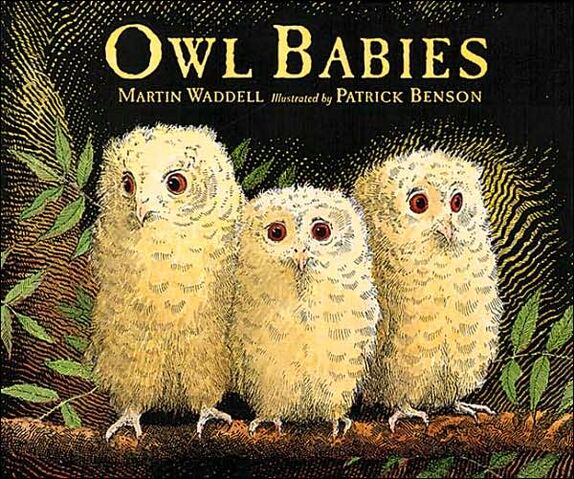File:Owl Babies.jpg