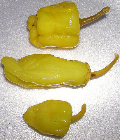 File:Pepperoncini.jpg