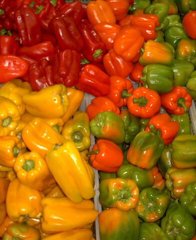 File:Capsicum1.jpg