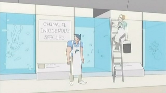 File:DvsM5.png