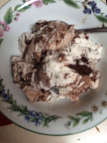File:Thin mint ice cream.jpeg