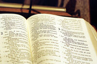 The Bible