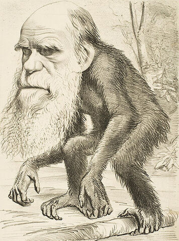 File:Darwin ape.jpg
