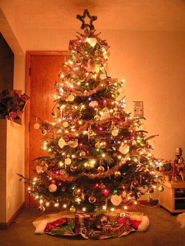 File:Christmas-tree-lights1.jpg