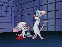 Pinky and Brain exchange gifts