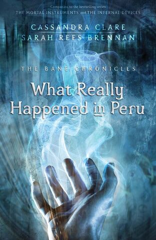 Datei:WhatReallyHappendInPeru.jpg