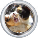 File:Badge-edit-5.png