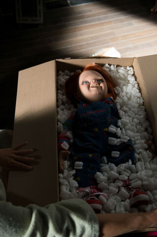 File:Brideofchuckysmall2.jpg