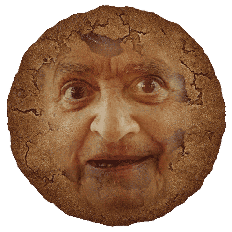 Plik:ImperfectCookie.png