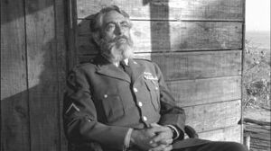 Robertstrauss