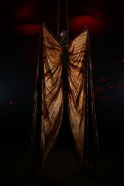 Aerial Silks - OVO.jpg
