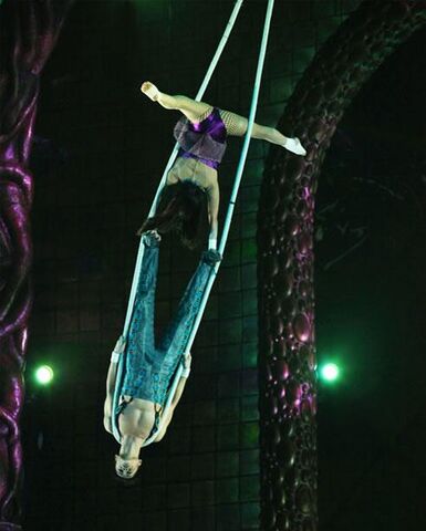 Archivo:Rope Duet - Zarkana.jpg