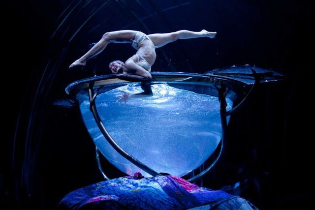 Archivo:Waterbowl-Amaluna.jpg