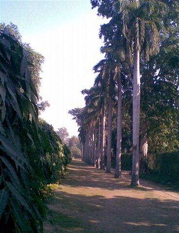 File:PakistanSadiqAbadBaghEBahisht.jpg