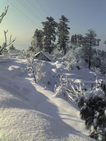 File:In winter.jpg