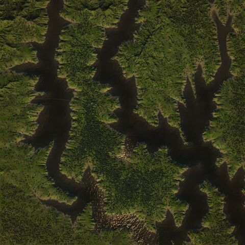 File:Overhead - Grassy Marshland.jpg