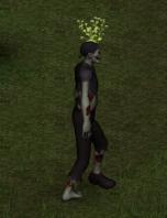 Risen slayer