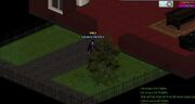 No harvestables bug