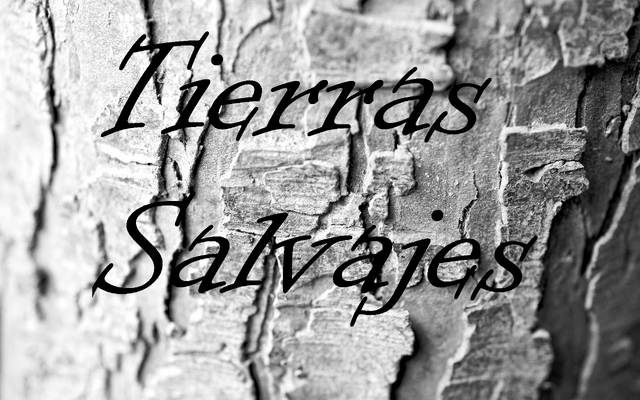 Archivo:Logo122.png
