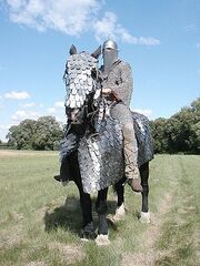 Sasanid Cataphract