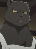 Genko anime