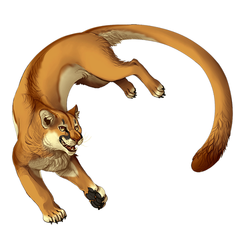 File:Item puma.png