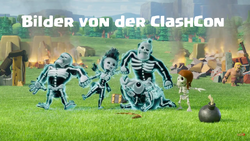 Bilder-Blog-Bild
