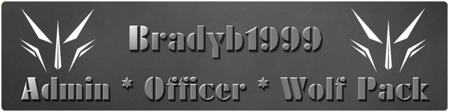 File:BradyBanner2.png