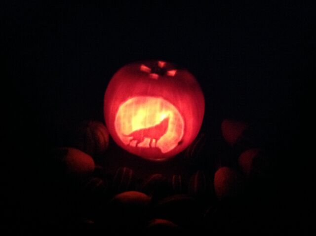 File:Pumpkin.jpg