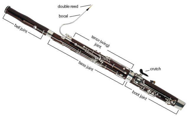 File:Bassoon.breakdown.medium.jpg