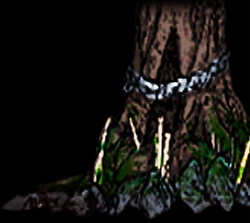 Maxwell tree