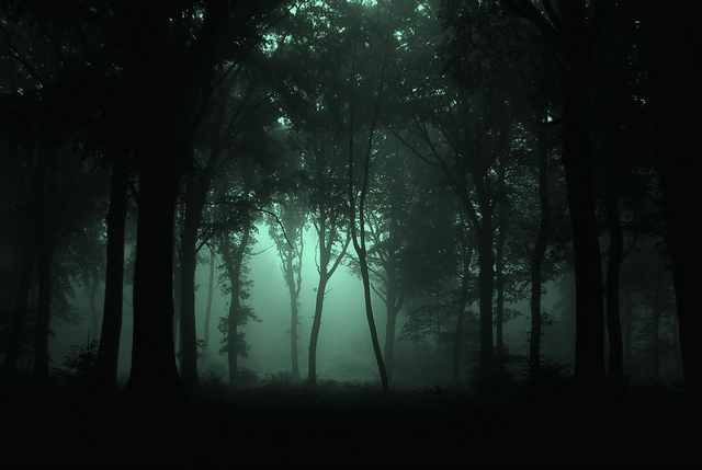 File:Gloomwood.png
