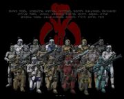The mandalorian guild