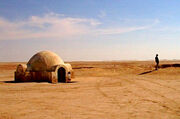 Tatooine Lot (with hut)