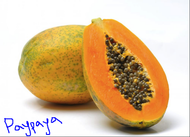 File:PAYPAYA.png