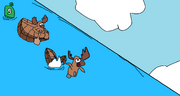Boat runner