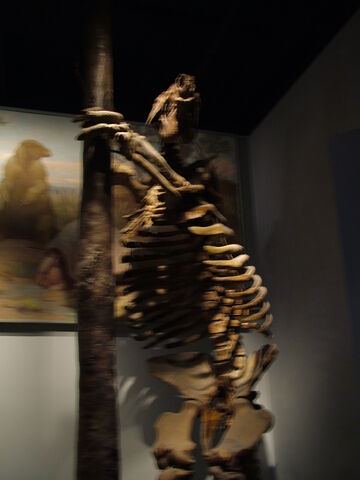 File:DSCF1754.jpg