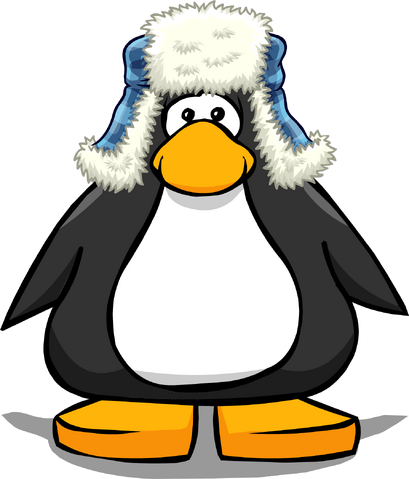 File:Blue Fuzzy Hat 2.png