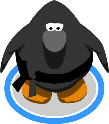File:Ninja Outfit IG.png