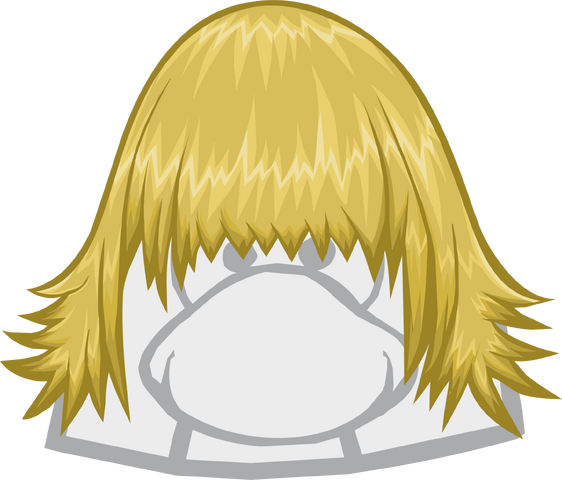 File:The Skater.png
