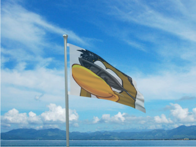 File:Theflag.jpg