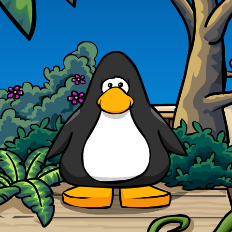 File:Clothing 9028 player card.png